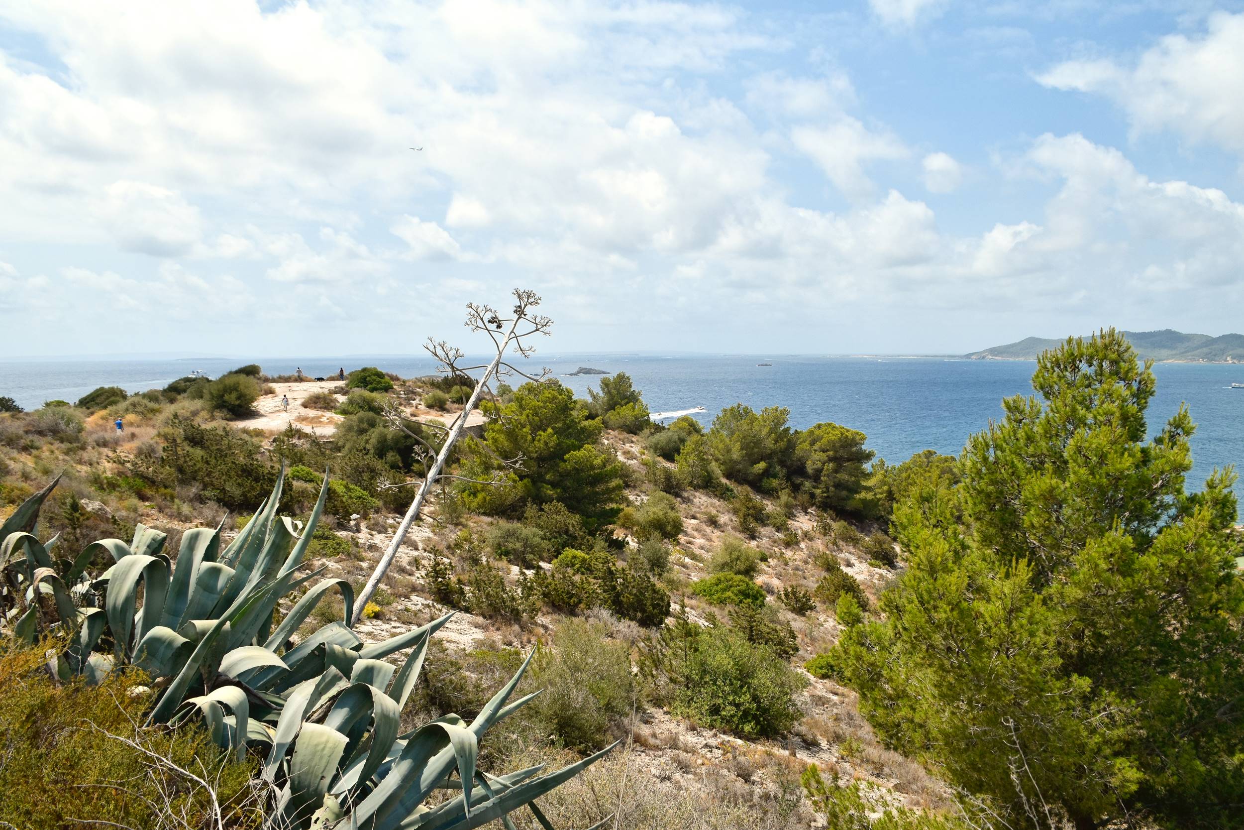 Ibiza